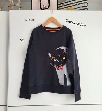 Sweat Caprice de fille 16 ans etat impeccable