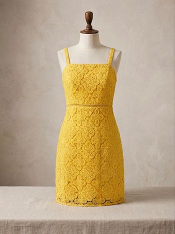 Robe hollister