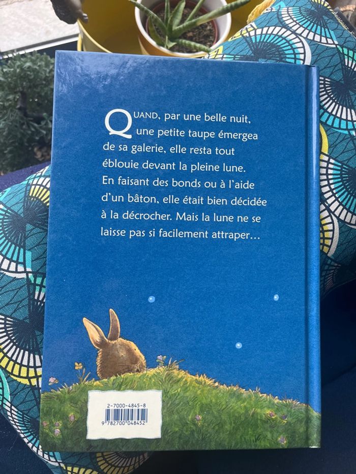 livre une taupe au clair de la lune - photo numéro 2
