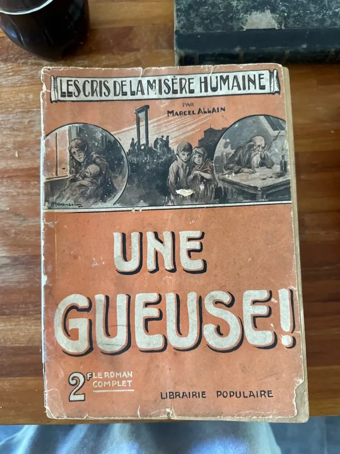Lot de 12 livres les cris de la misère humaine - photo numéro 9