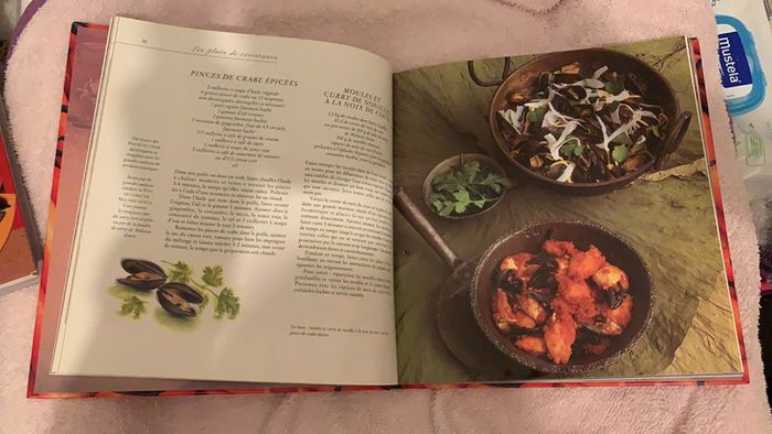 Livre de recettes « la cuisine gourmande d’orient » - photo numéro 4