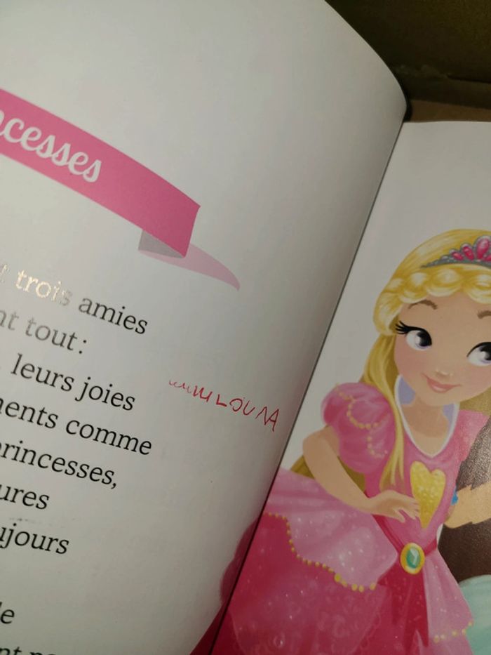 Livre histoire de princesses - photo numéro 7