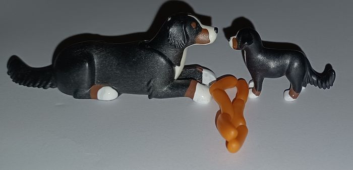 Playmobil 21 clinique animale - photo numéro 7