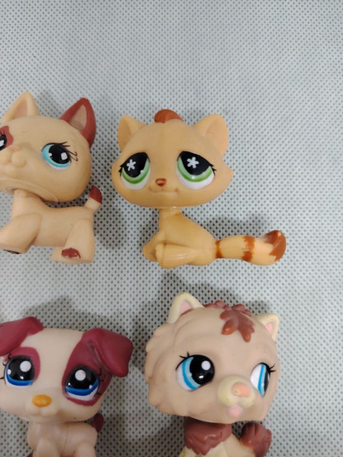 Lot petshop Littlest petshop - photo numéro 5