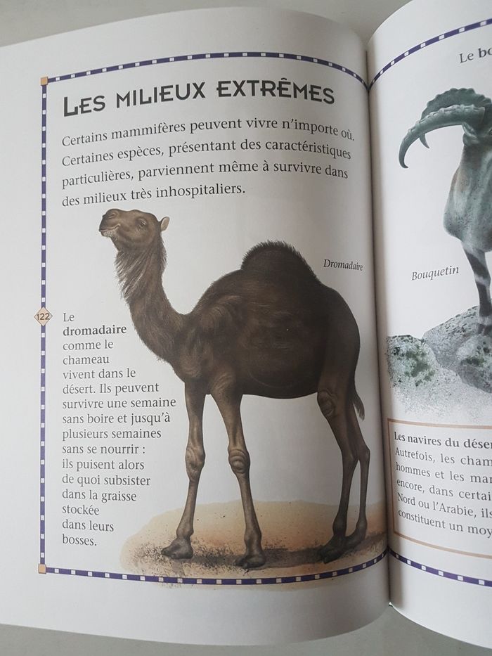 A la découverte du monde animal - photo numéro 3