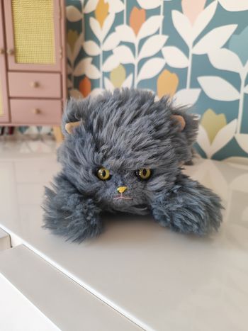 Peluche chat thiennot