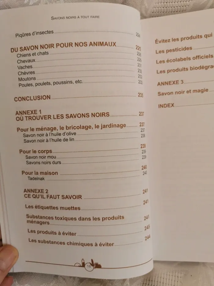 Livre. Salon Noir à tout faire – 1200 astuces naturelles - photo numéro 7