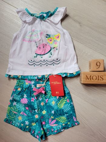 Ensemble tortue turquoise dpam