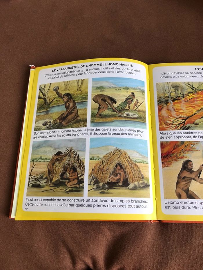 L’imagerie des dinosaures et de la préhistoire - photo numéro 3