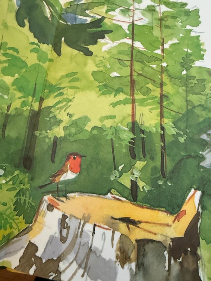 Grand livre album vintage Tim et Poum dans la forêt Pierre Probst auteur Caroline - photo numéro 3