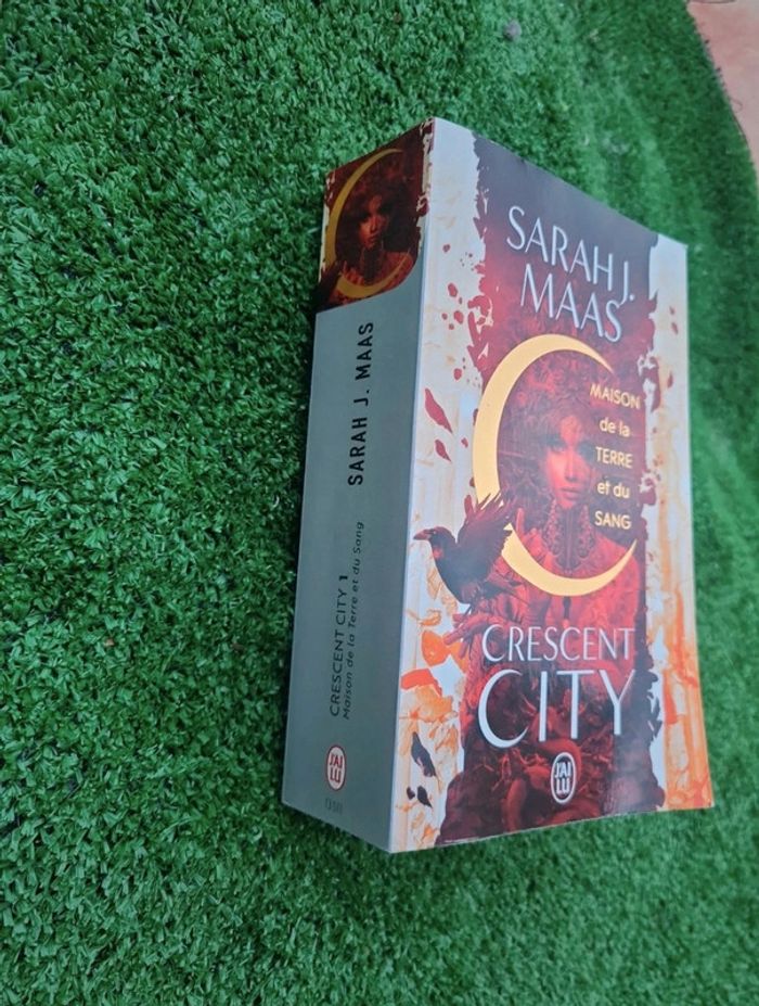 Crescent City - maison de la terre et du sang - Sarah J. Maas - photo numéro 2
