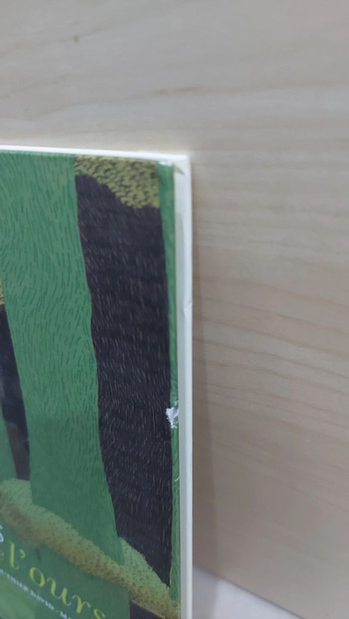 🌺 Livre : Les lettres de l'ourse - photo numéro 9