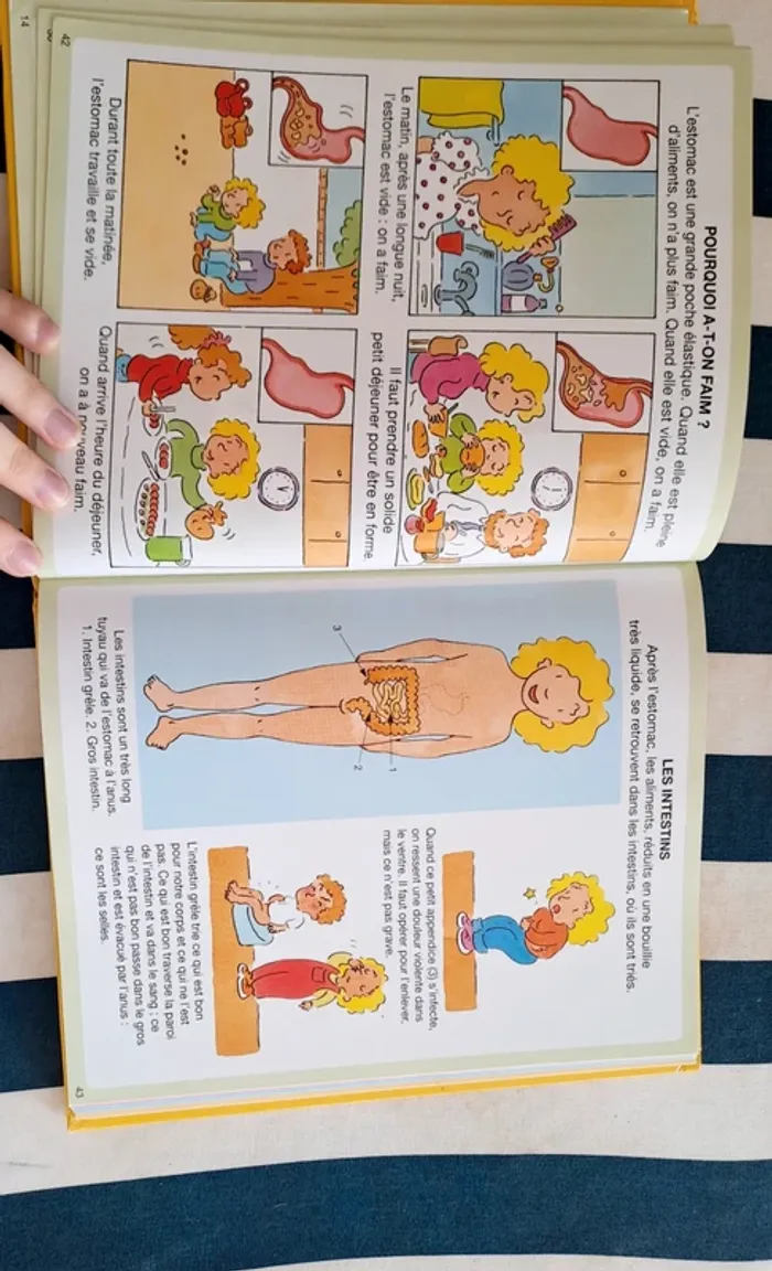 L'imagerie du corps humain / Livre Enfant / Livre l'imagerie / Fleurus - photo numéro 3