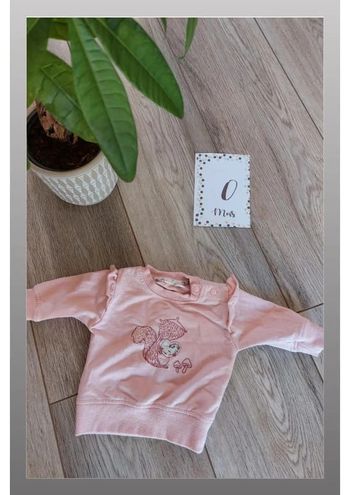 Sweat zeeman rose 0 mois naissance