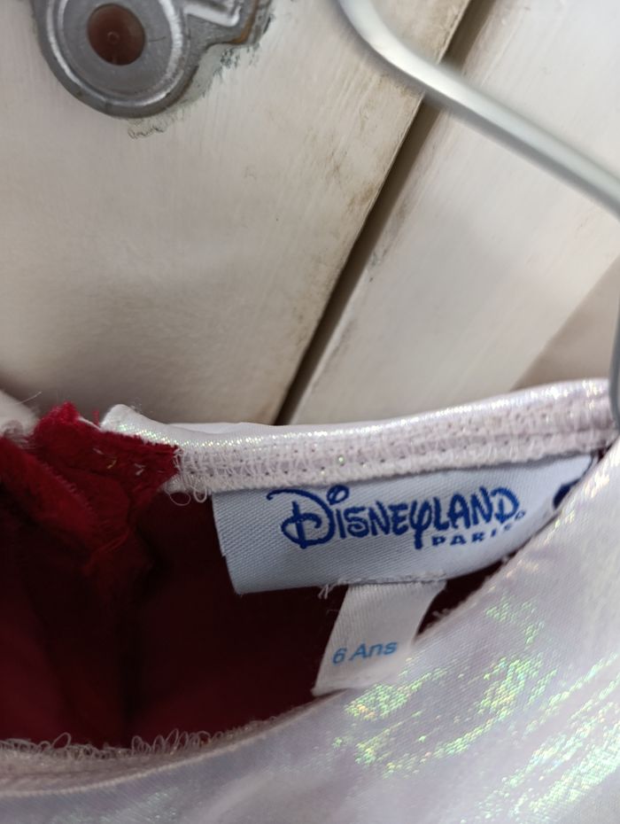 Robe Disneyland 6 ans - photo numéro 2