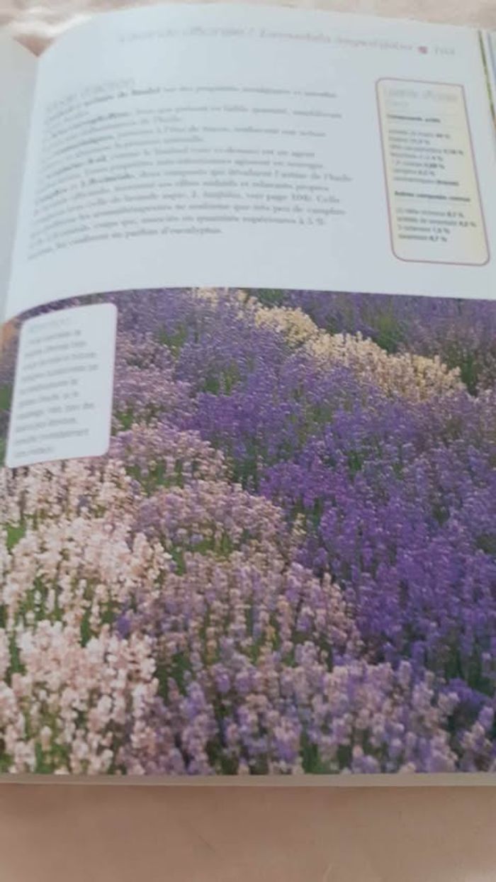 guide des huiles  essentielles - photo numéro 2