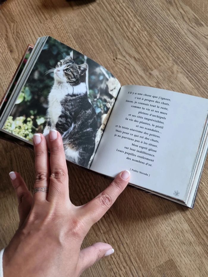 Livre Chats - photo numéro 3