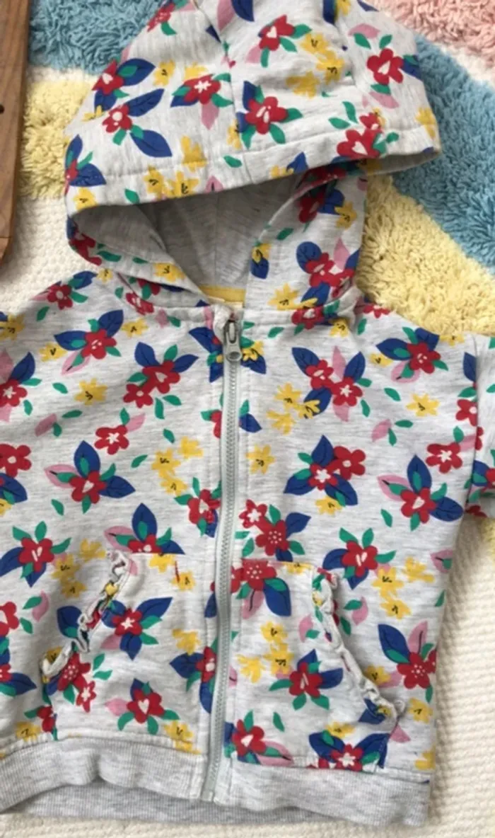 Sweat veste capuche dpam - photo numéro 2
