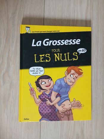 Livre la grossesse pour les nuls