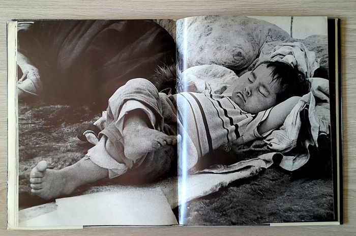 les saisons de l'esquimeau un mode de vie qui disparaît - Fred Bruemmer - photo numéro 10