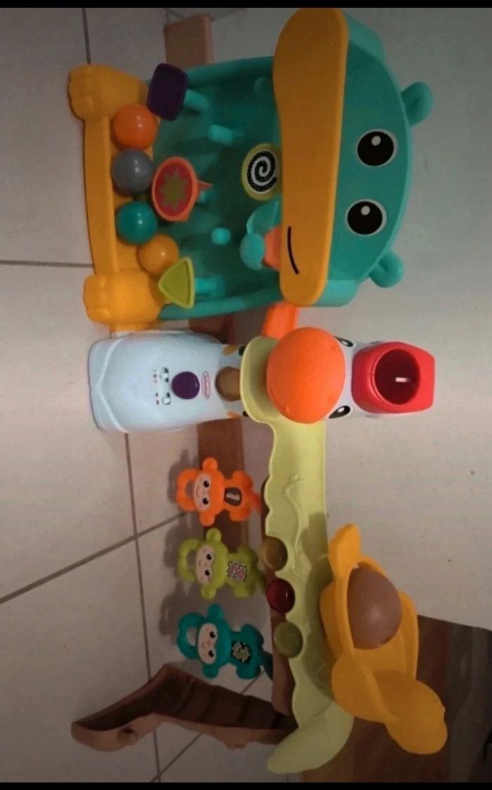 Zèbre multi activités