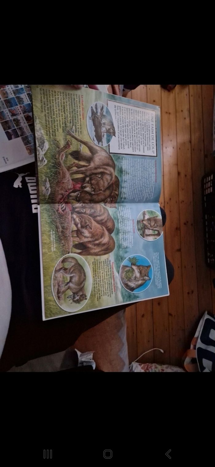 Livre "les loups" - photo numéro 4