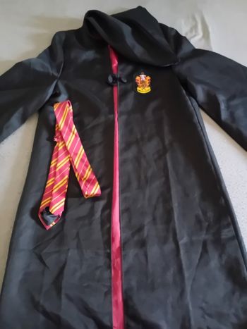 Déguisement Harry Potter