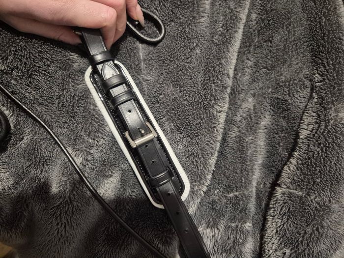 Double Bride dressage kavalkade - photo numéro 7