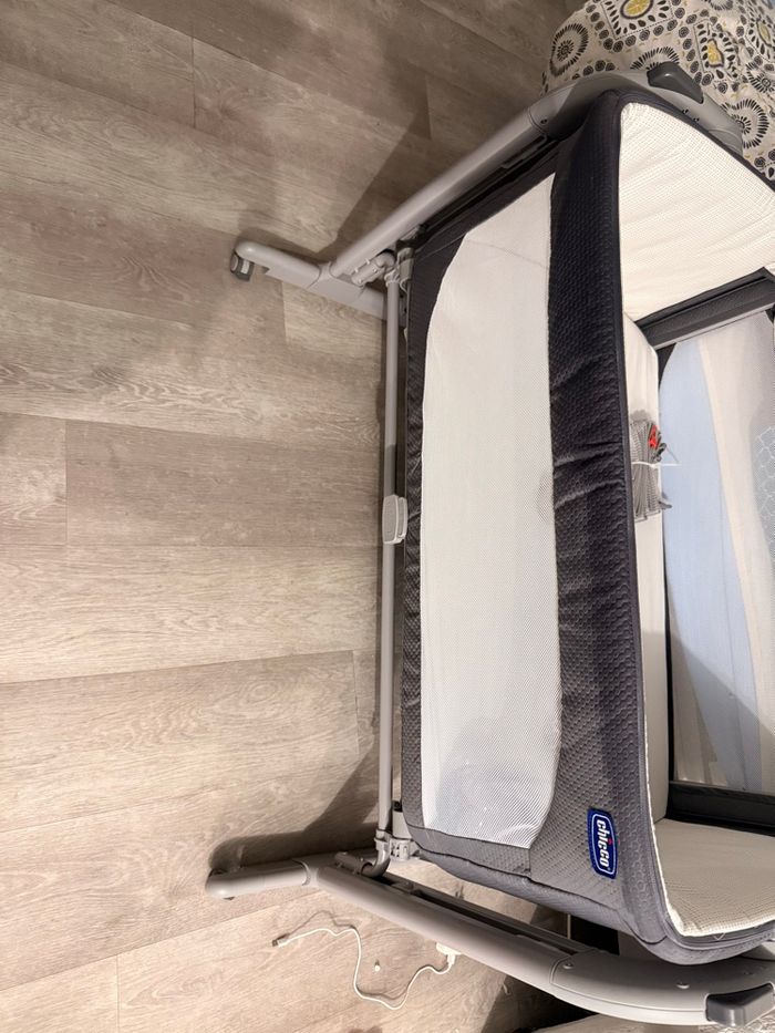 Cododo chicco - photo numéro 6