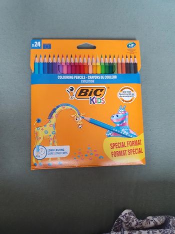 24 crayons de couleurs bic évolution