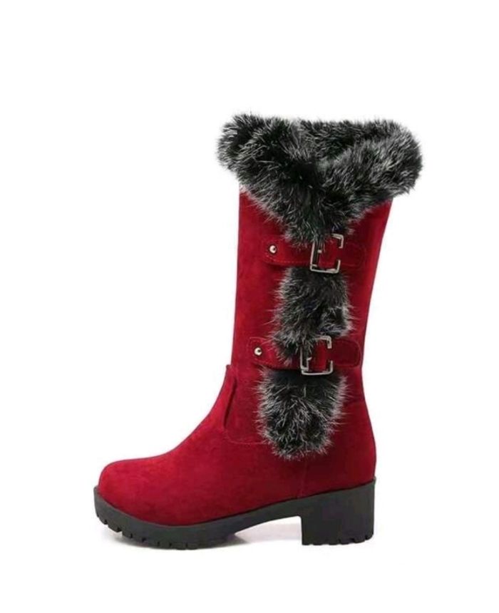 Bottes de neige - photo numéro 2