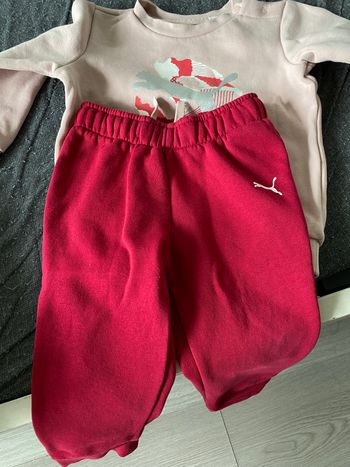 Ensemble puma
