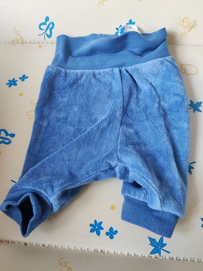 Ensemble hippopotame