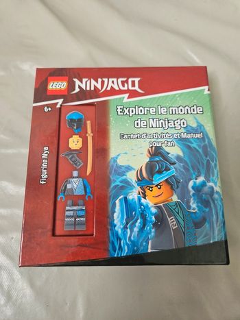 Carnet d'activité Ninjago