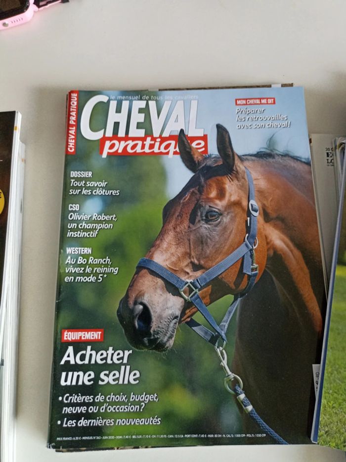 Cheval pratique - photo numéro 8