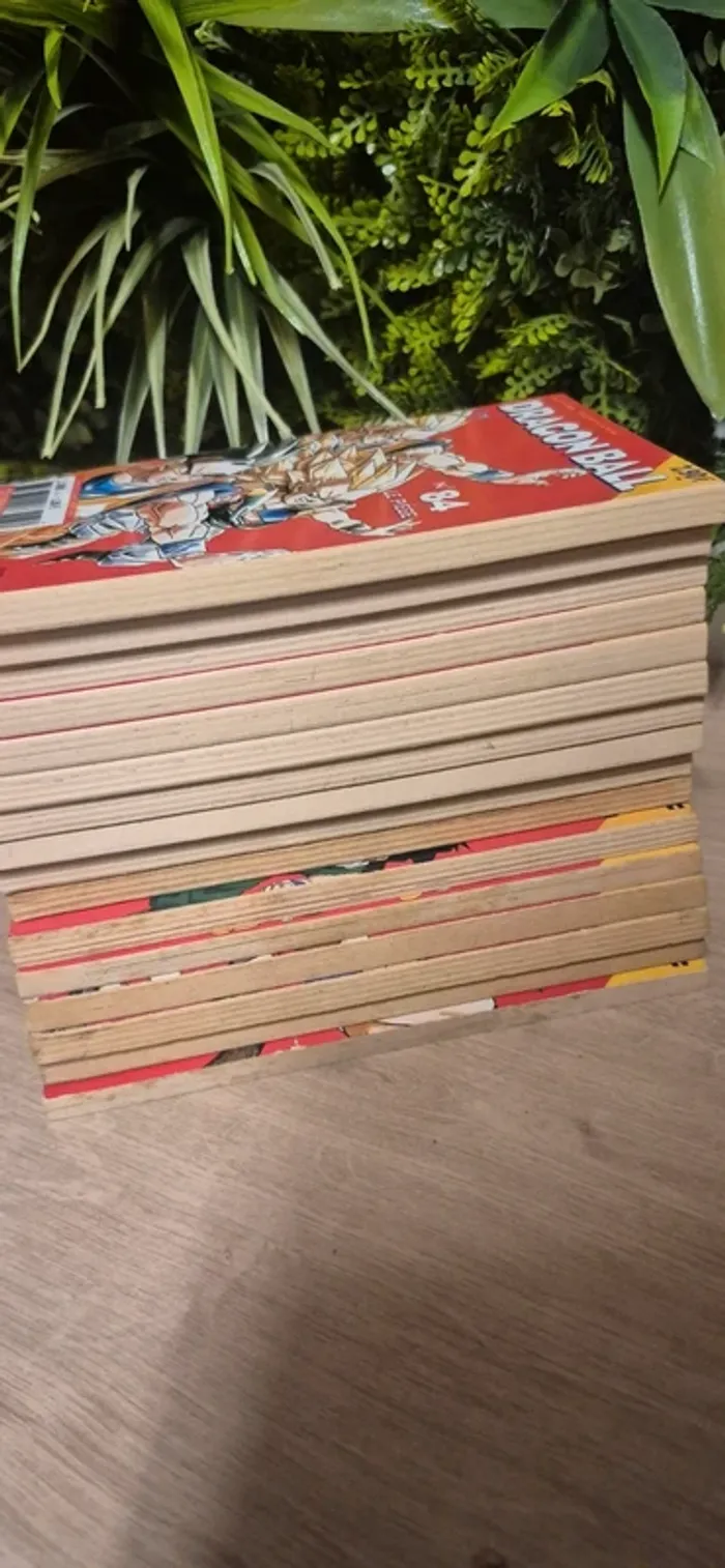 Ancien manga dragon ball - photo numéro 5