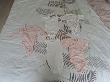 Lot de body bébé fille