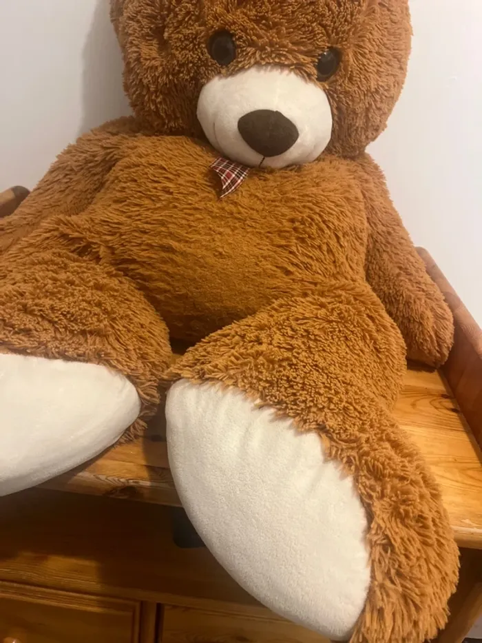 Nounours - photo numéro 4