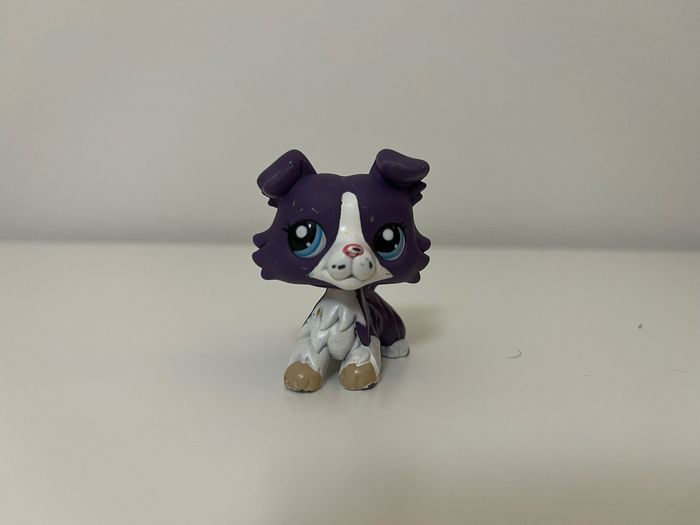 petshop - photo numéro 2