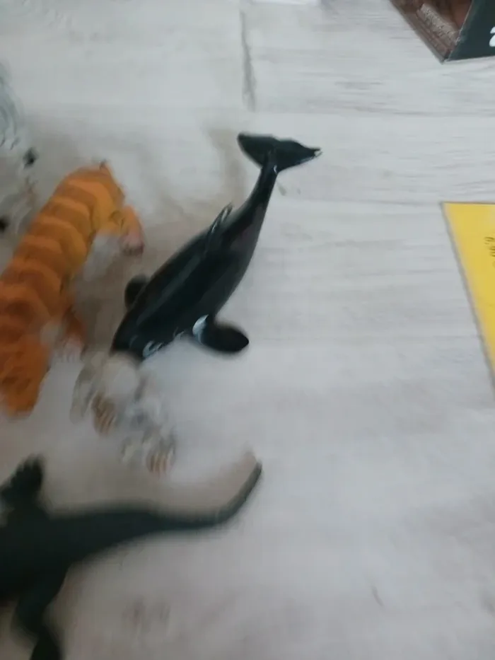Lot animaux - photo numéro 4