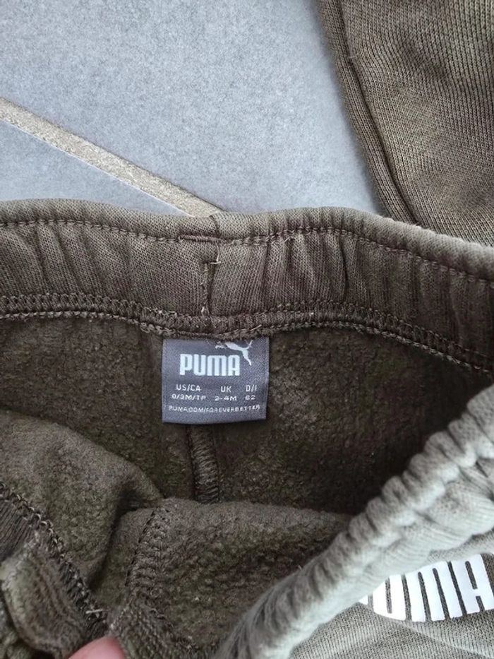 Ensemble Puma kaki - photo numéro 3