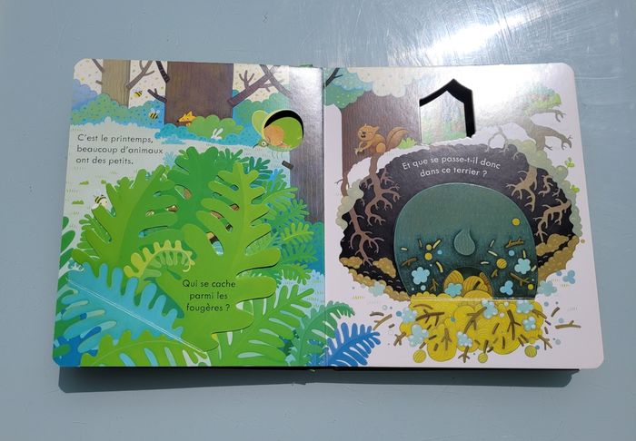 Usborne, livre collection coucou 🌲 Coucou! La Forêt 🍁 - photo numéro 4