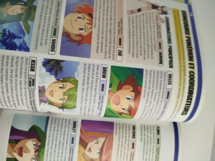 Pokémon l'encyclo - photo numéro 8