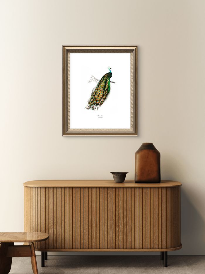 Affiche vintage Paon - photo numéro 4