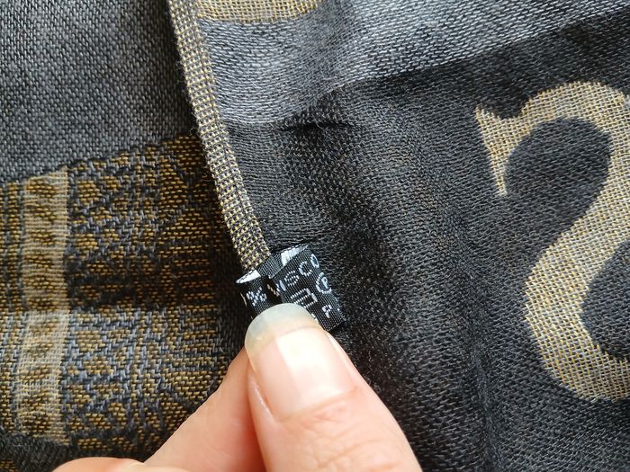 Grande echarpe monuments Paris - photo numéro 3