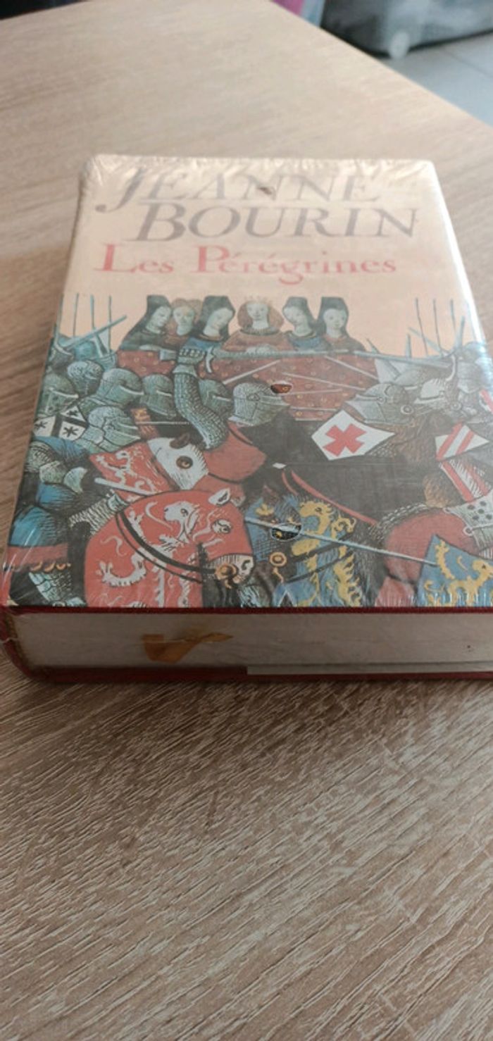 Livre neuf Les Pérégrines - photo numéro 4