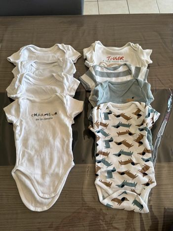 Lot de 8 bodies manche courtes