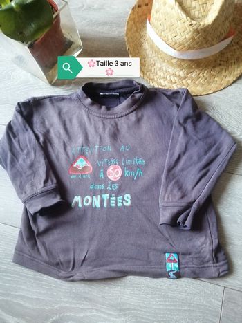 🌸Top parme manches longues Taille 3 ans "DPAM" 🌸