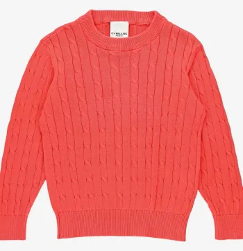 Pull 4 ans en coton Cyrillus