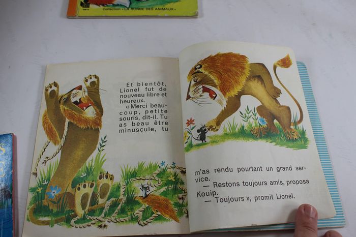 Anciens Livres enfants 70s Malheurs de Sophie, Petit Goupil et Souricette - photo numéro 10